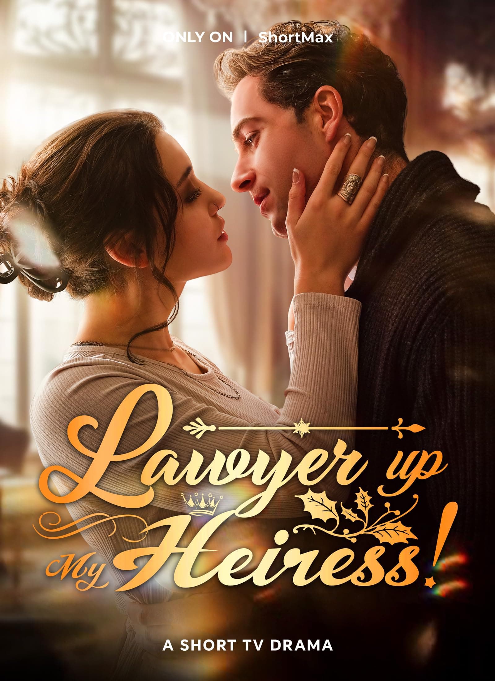Lawyer Up, My Heiress poster